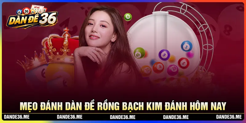 Kinh nghiệm lập dàn đề Rồng Bạch Kim hiệu quả